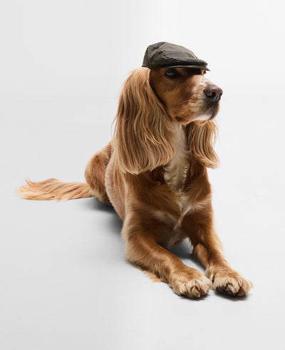 Dog wax flat cap