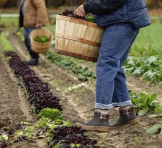 Muck Originals Ankle