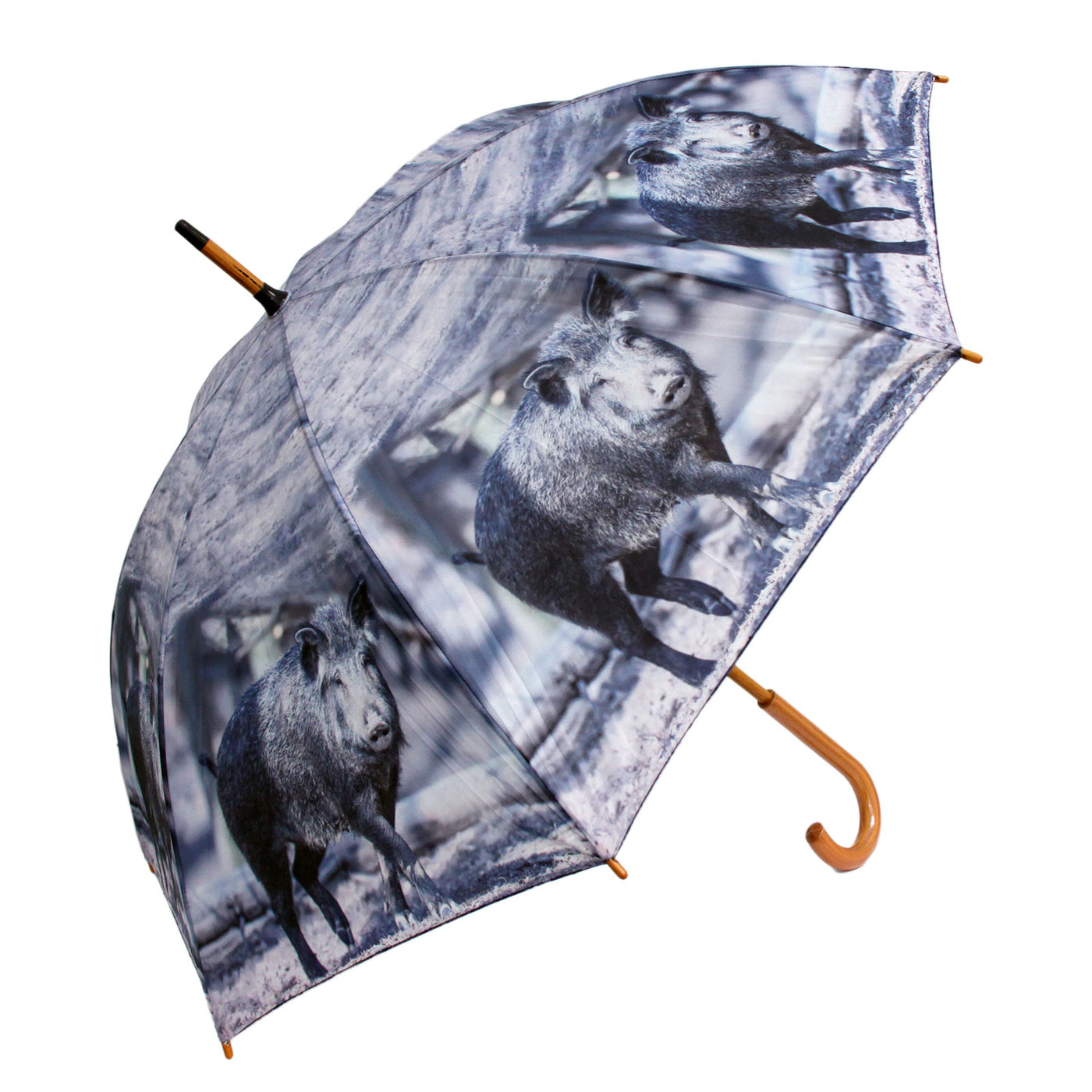 Paraplu met zwijn afbeelding